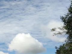 -洞里萨湖