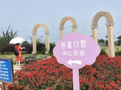 -紫颐香薰山谷景区