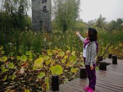 -武清南湖绿博园