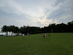 -深圳湾公园(南山区)
