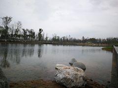 -白鹭湾湿地公园