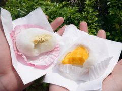 -澳门长洲糯米糍(柯打苏沙街店)