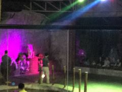 -清迈夜间动物园