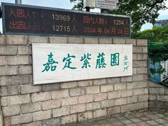 -嘉定紫藤园