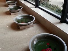 大堂-天目湖涵田半山温泉水乐园