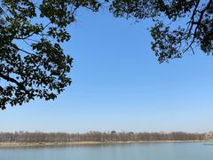 -东湖落雁景区