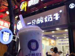 -一只酸奶牛(八一路店)