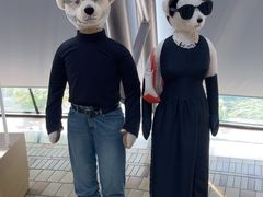 -济州岛泰迪熊博物馆