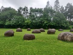 -上海月湖雕塑公园