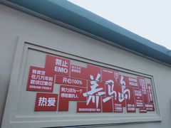 -养马岛旅游度假区