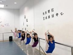 -快乐琴弦音乐舞蹈艺术教育中心(马连道校区)