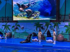 -石家庄极地海洋世界
