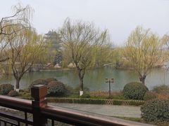 -鹊华居·地道鲁菜·海鲜·融合味(大明湖店)