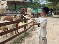 -盈香心动乐园