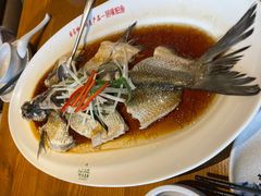 翘嘴鲌鱼-丹江渔村(望京店)