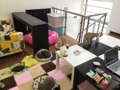-三花喵·撸猫购宠·宠物生活馆(虹桥南丰城店)