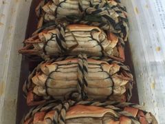 -杜六房(大沽路店)