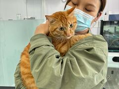 -爱洗澡的猫(望京店)