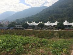-德庆盘龙峡生态旅游区