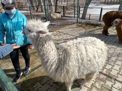 -新疆天山野生动物园