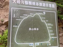 -大岭沟猕猴桃谷风景区