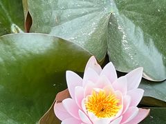-沈阳植物园