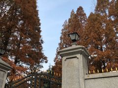 -上海虹桥迎宾馆