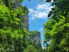 -张关合渣(航空大道店)