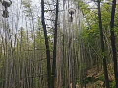 -石燕湖生态旅游景区