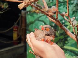 点击看大图 -Zoolung Zoolung动物主题公园(海信广场店)