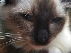 -老屋咖啡
