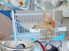 -怪兽屋·羊驼·猫咖·狗咖(俊华广场店)