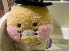 -KAKAO FRIENDS(弘大店)