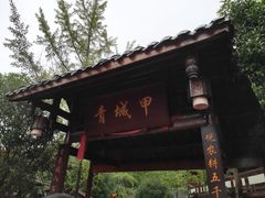 -青城甲(青城山店)