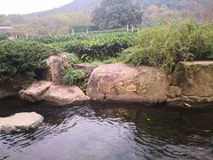 -中国茶叶博物馆(双峰馆区)