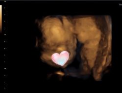 -北京俪婴妇产医院(朝阳大悦城店)