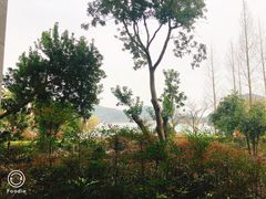 -宁波九龙湖开元度假村