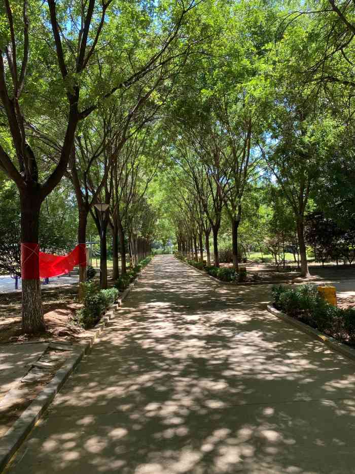 鹊华开心农场-"鹊华开心农场位于黄河浮桥向前400米左右.