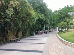 -沙河三洞古桥公园