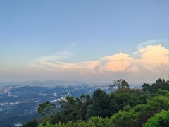 -黄埔油麻山森林公园