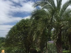 -昆明洲际酒店