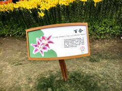 -径山花海