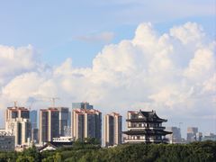 -海珠湖公园