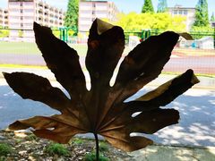 -上海大学(嘉定校区)