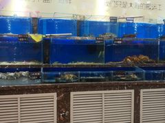 水产区-河马鲜生海鲜超市(风荷园店)