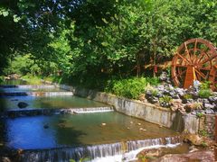 -广州白江湖森林公园