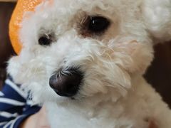 -宠福鑫康馨动物医院·骨科·眼科