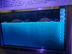 -白鹤梁水下博物馆