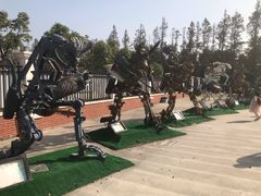 -上海长兴岛郊野公园