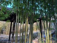 -崇阳三特浪口温泉